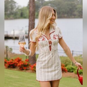 Chic Embroidered Mini Dress in White and Red